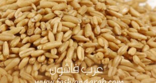 فوائد الشوفان